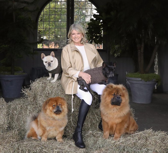 Martha Stewart says CBD for pets will be a $10B industry in 2 years