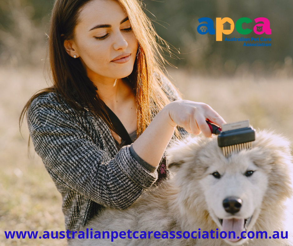 Factsheet – Grooming your pet - Pet Industry news