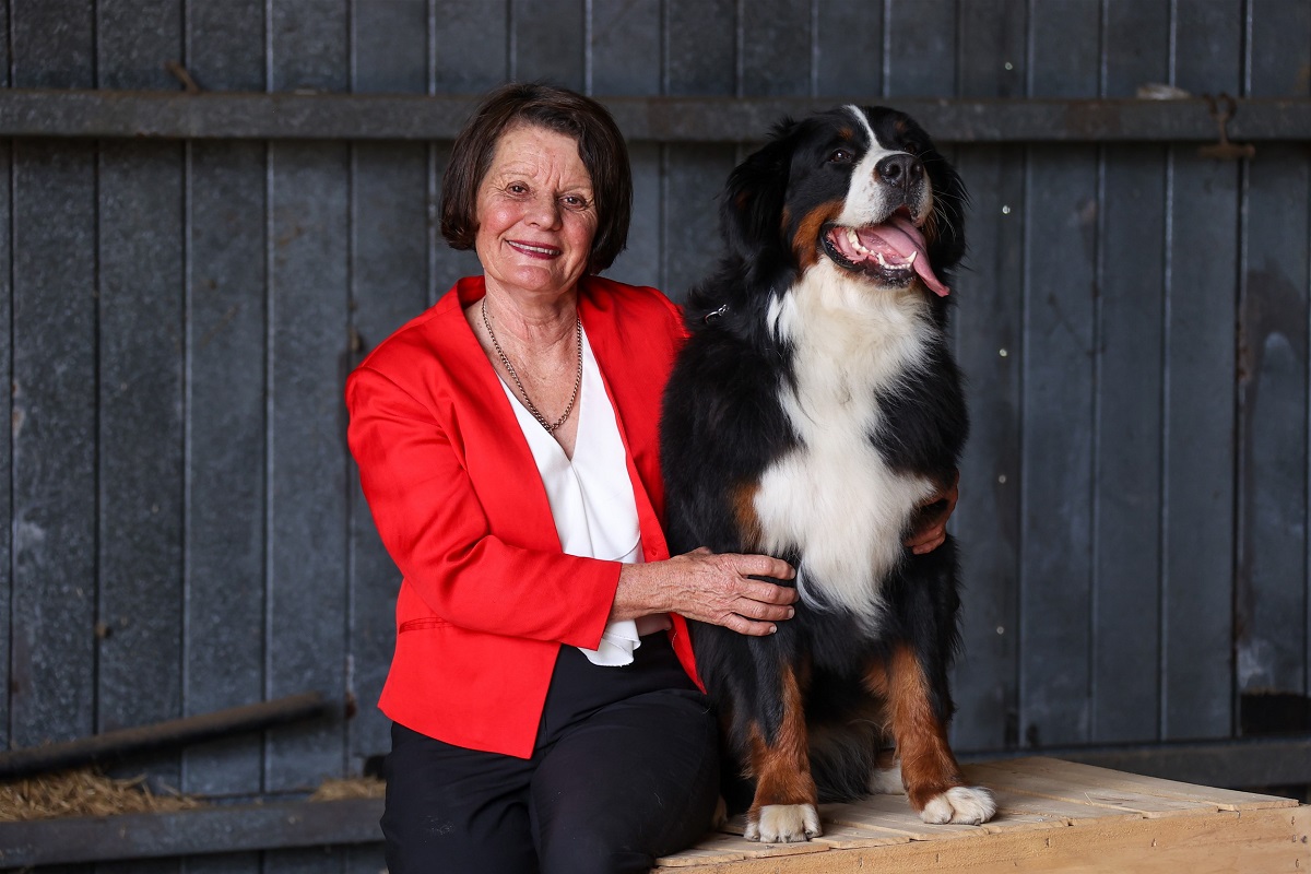 Dogs NSW warns of “draconian new laws” Pet Industry News