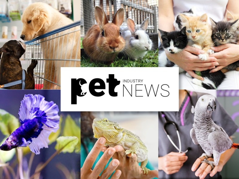 Pet Industry News