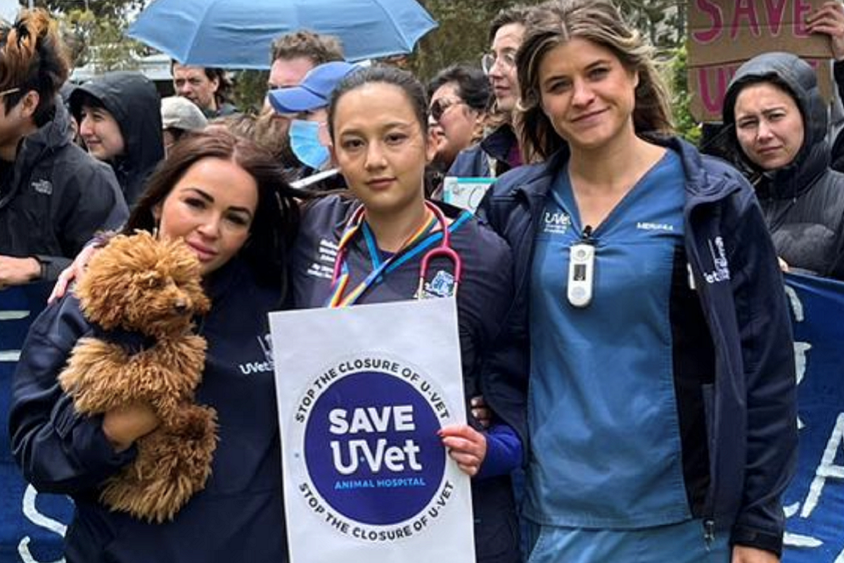 Community rallies to save Victoria’s only animal hospital