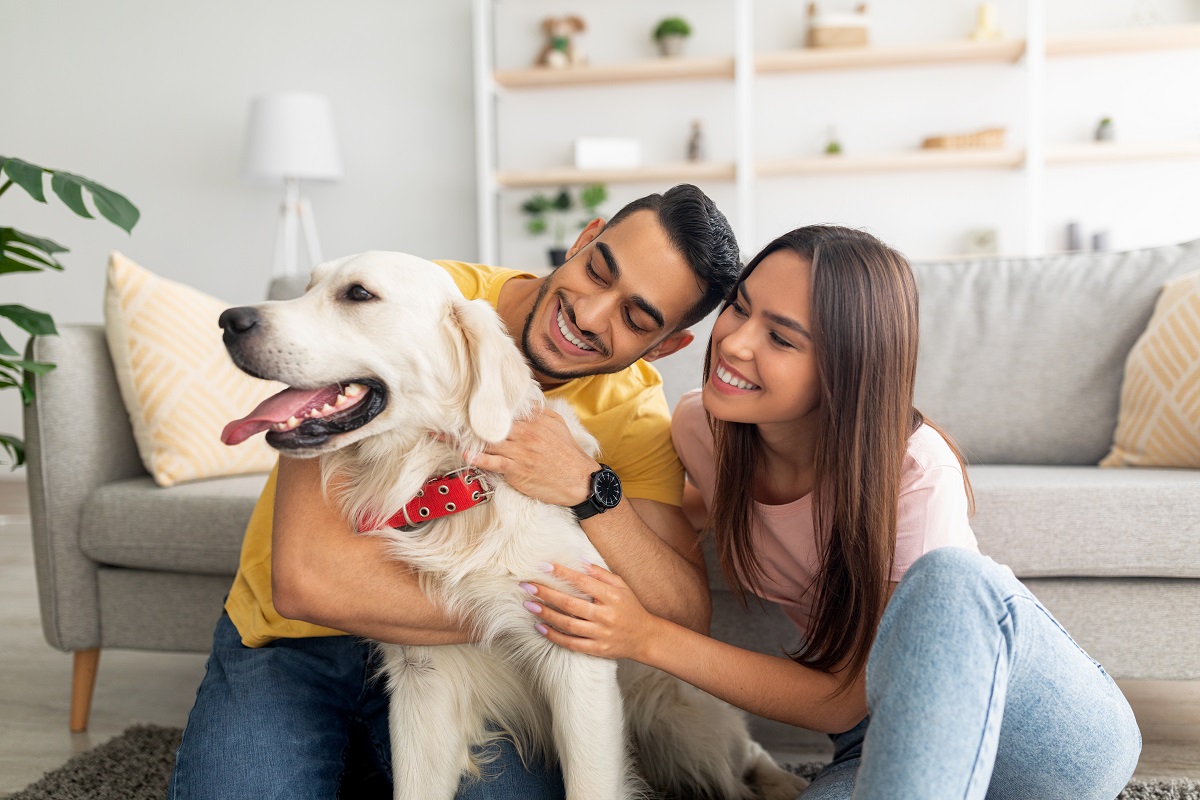 Housing restraints amongst the barriers to pet ownership
