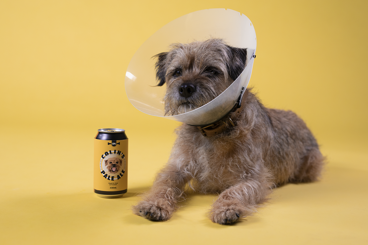Binge releases Colin’s Pale Ale, a beer for dogs