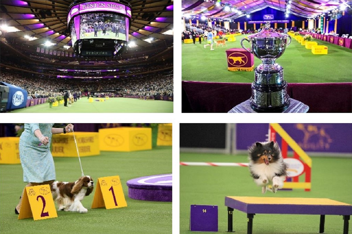 Ecovacs Robotics partners with Westminster Kennel Club Dog Show Pet