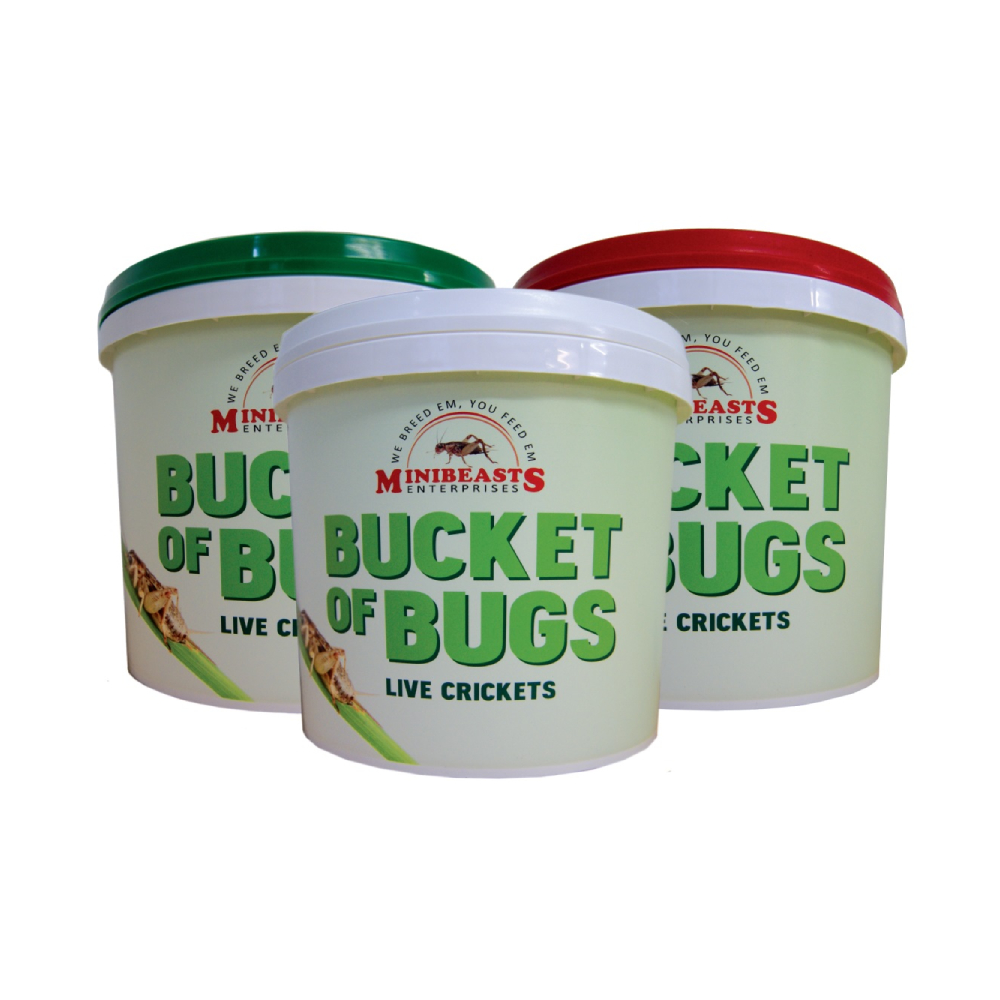 A Swap-n-go Bucket of Bugs?