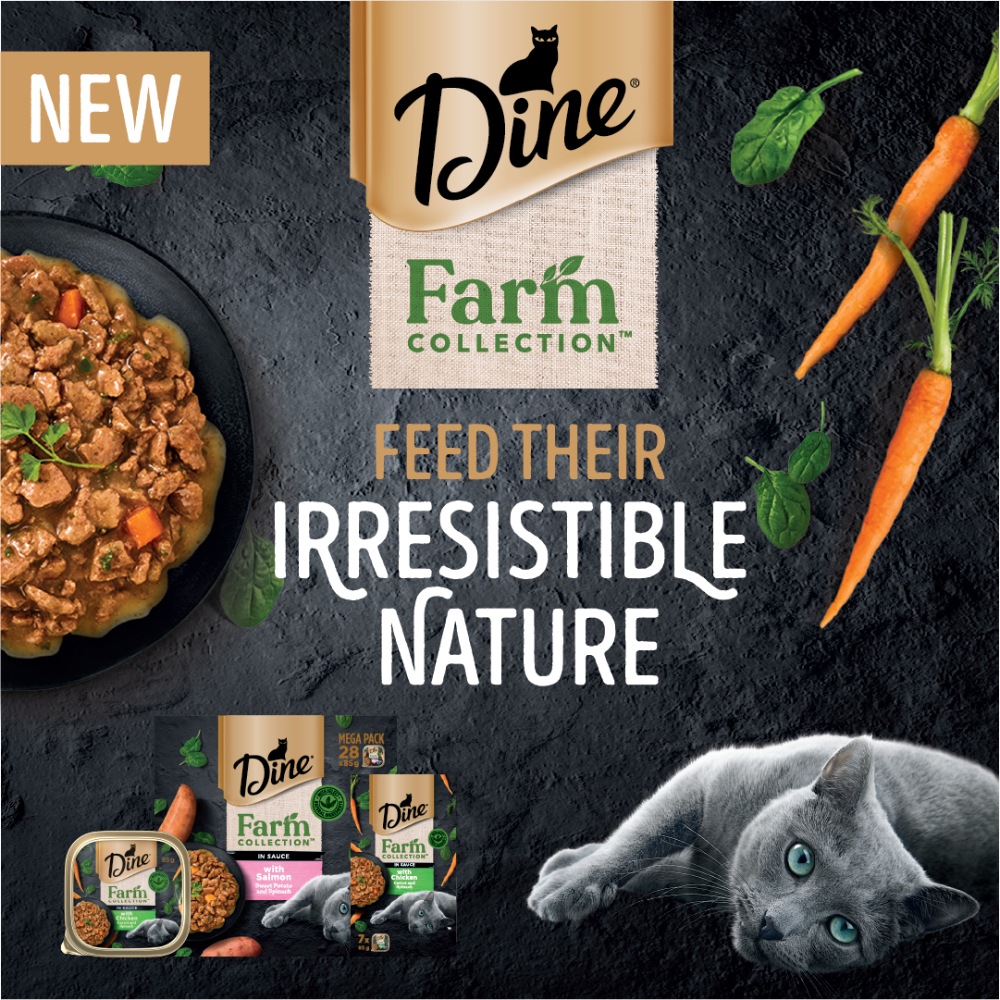 Introducing….DINE® Farm Collection
