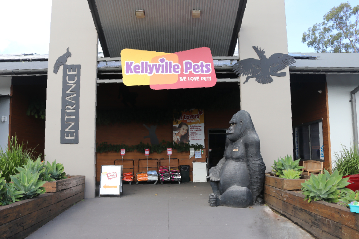 Celebrating 40 years of Kellyville Pets
