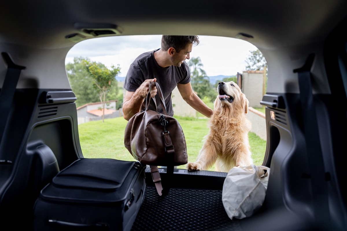 Dogs NSW urges vigilance for travelling dog owners