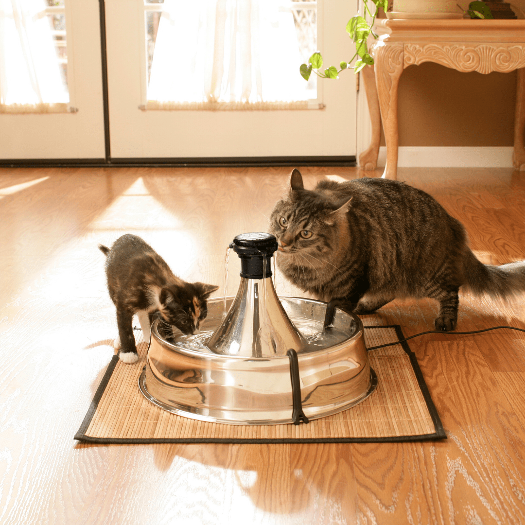 Introducing the PetSafe® 360 Stainless Steel Pet Fountain – your key to pet hydration!  