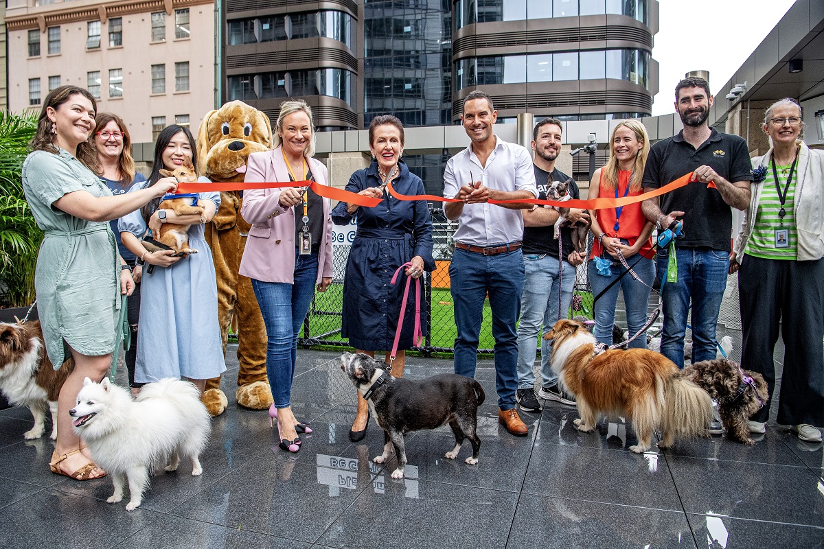 Amazon opens dog playground on roof of Sydney office