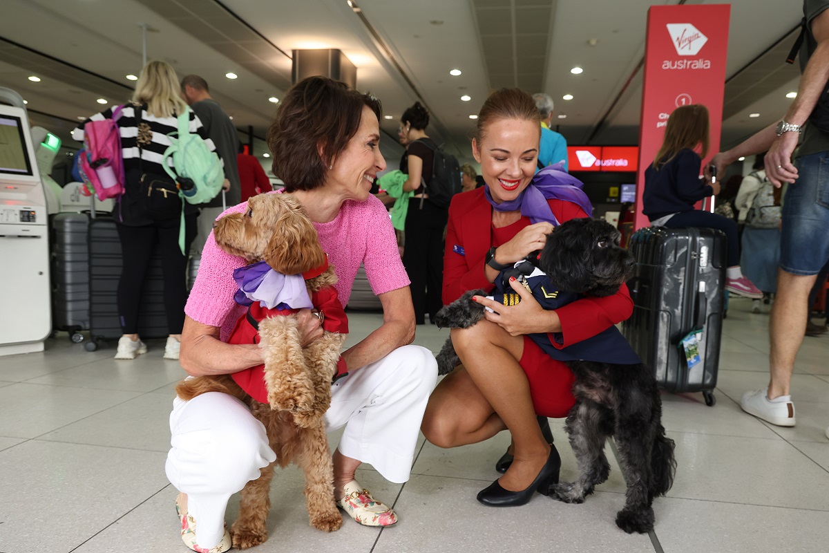 Virgin Australia to allow pets on domestic flights