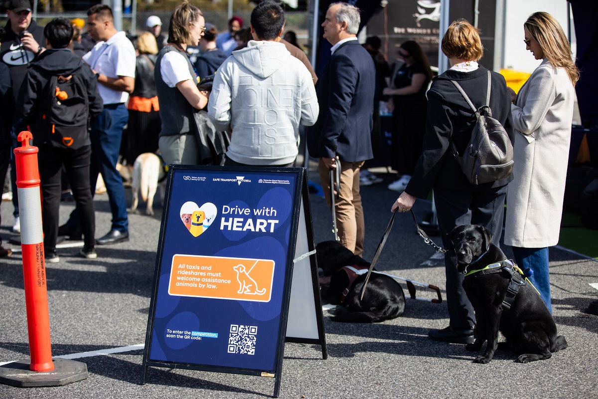 Drive with Heart campaign to help passengers with assistance animals