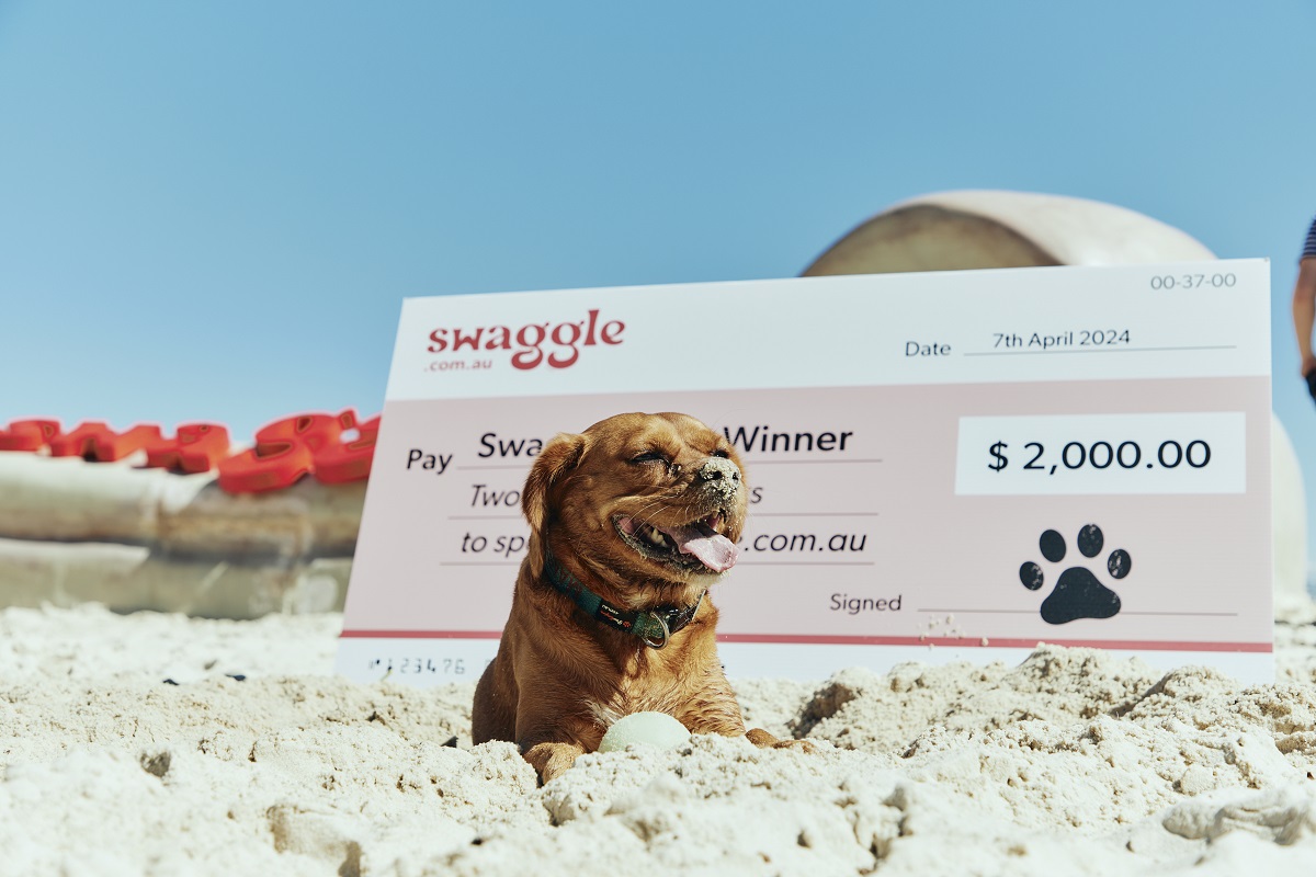 Swaggle creates a frenzy with launch event at Rose Bay Beach