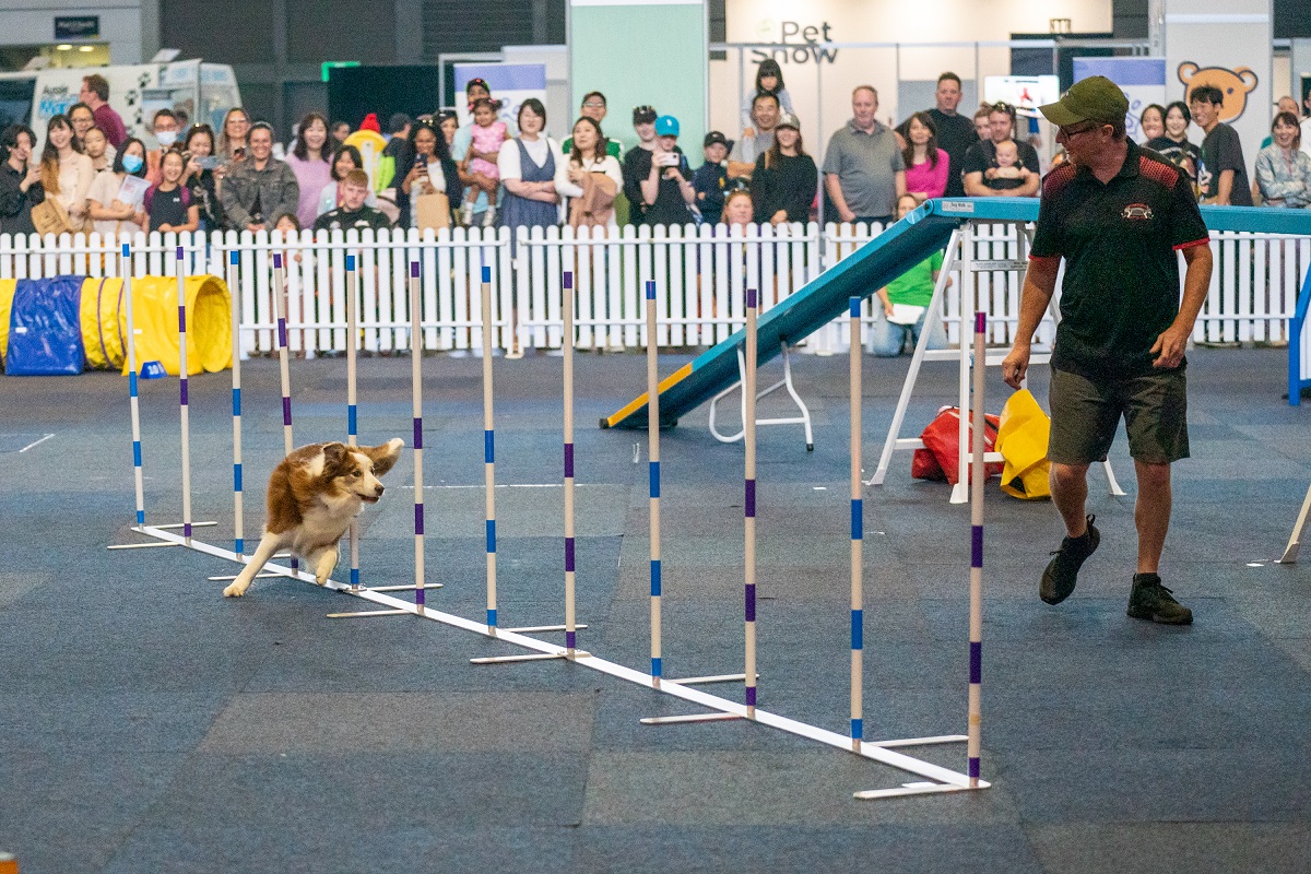 The Pet Show is heading to Adelaide