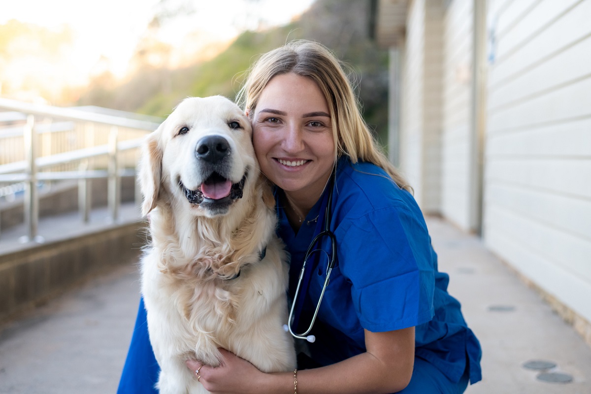 Report into NSW’s veterinary workforce shortage released