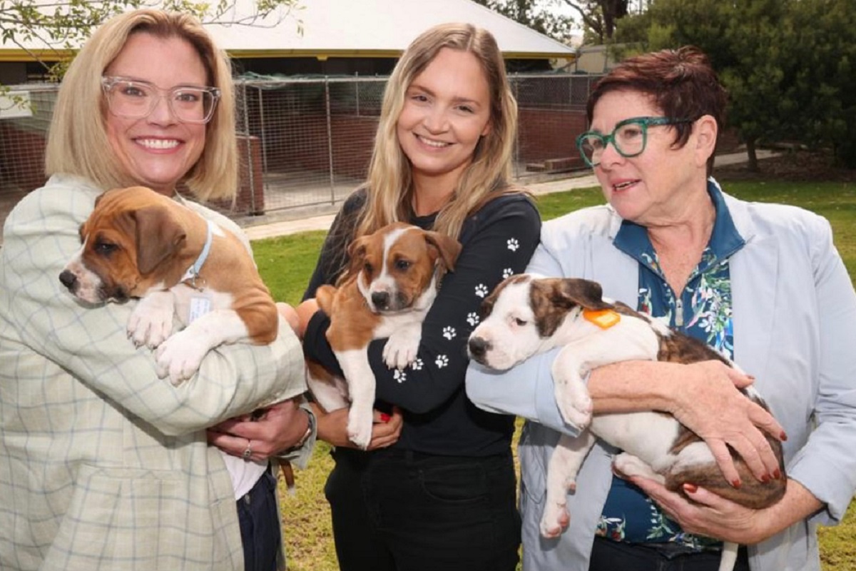 L-R: Hannah Beazley, Local Government Minister, Robyn Slater, General Manager of Dogs’ Refuge Home and Lisa Baker MLA, Member for Maylands.