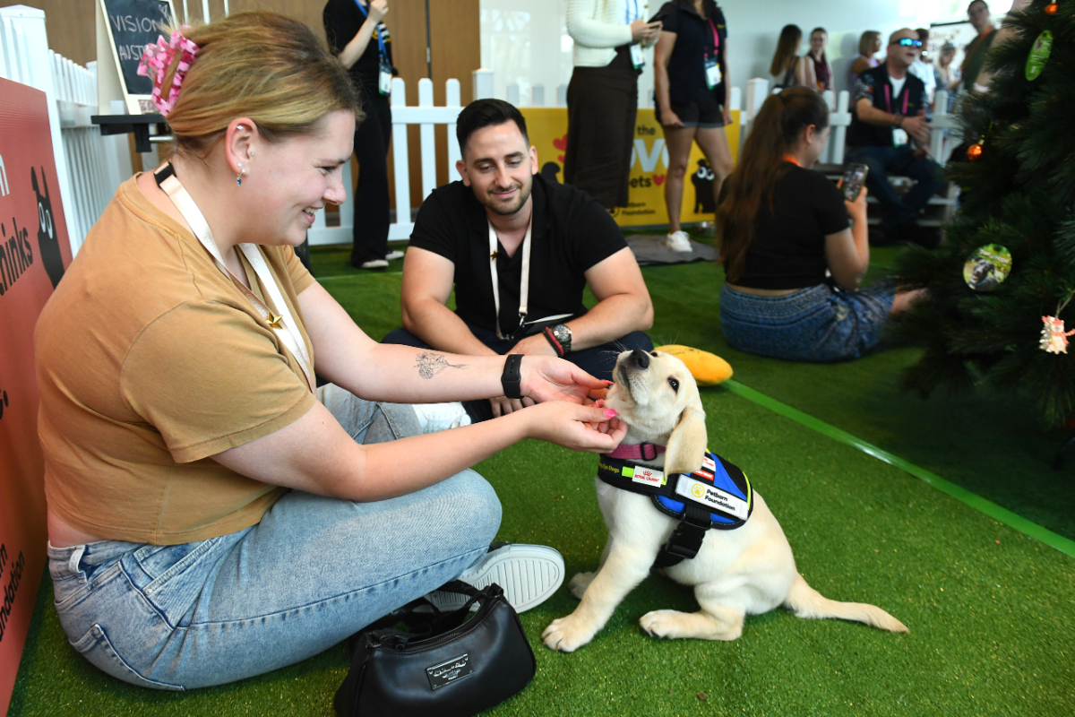 Image Gallery: Greencross National Clinical Symposium