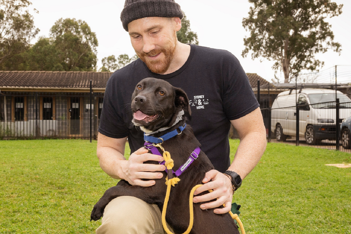 Work begins on Sydney Dogs & Cats Home’s rehoming centre