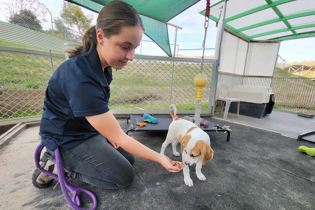 Staff and volunteers recognised this Animal Shelter Awareness Week