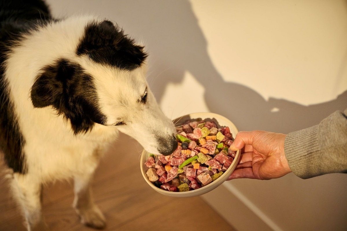 Scratch launches Australia’s first raw and frozen dog food