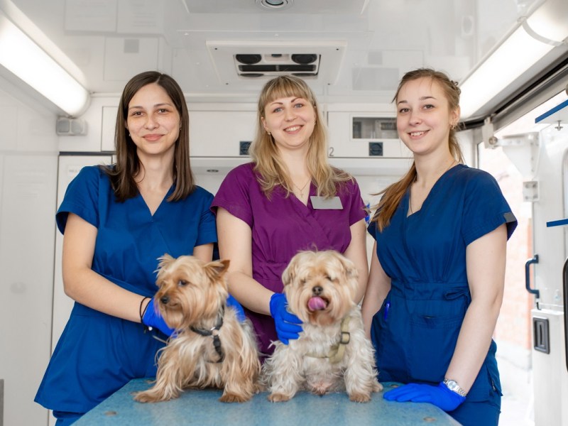 GapOnly Veterinary Awards