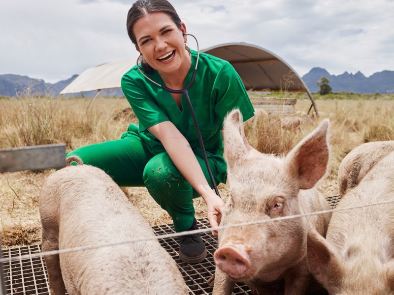 Animal Medicines Australia