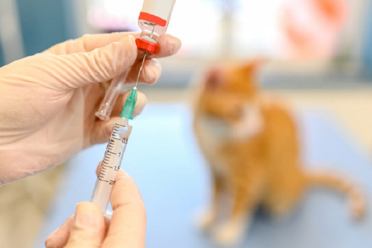 World Immunisation Week
