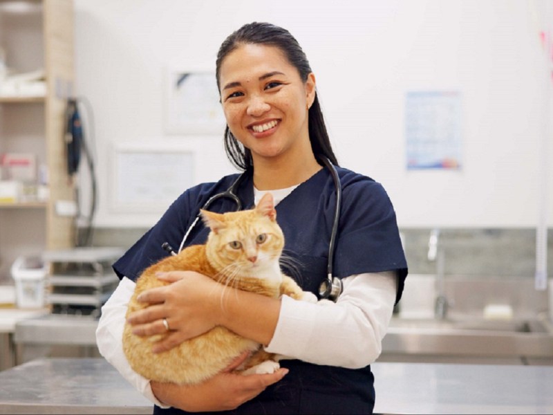 World Veterinary Day