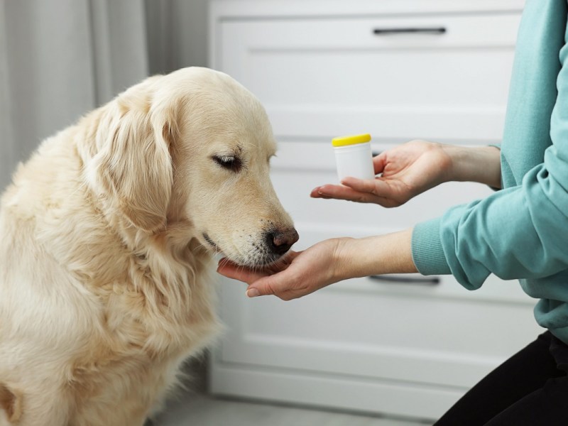 Petdirect