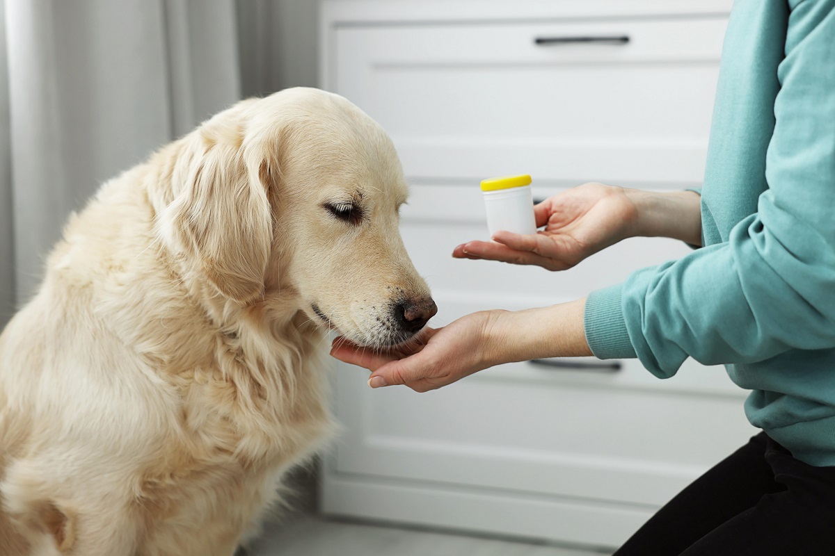 Petdirect