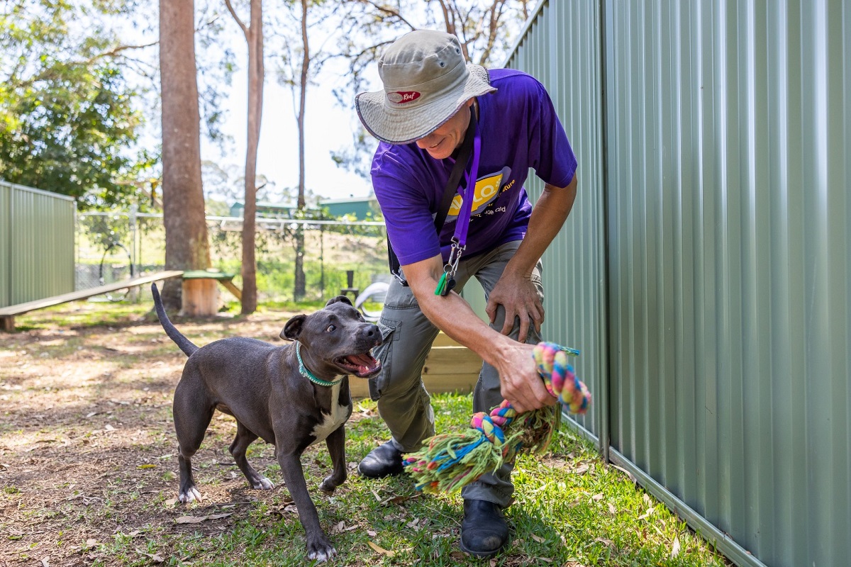 National Volunteer Week