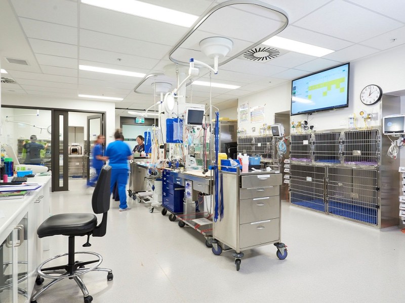 Greencross Vet Hospital