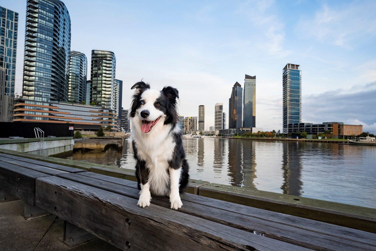 Charity walk set to light up Docklands