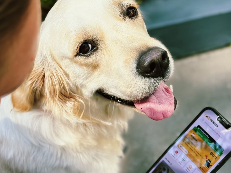Petbarn App