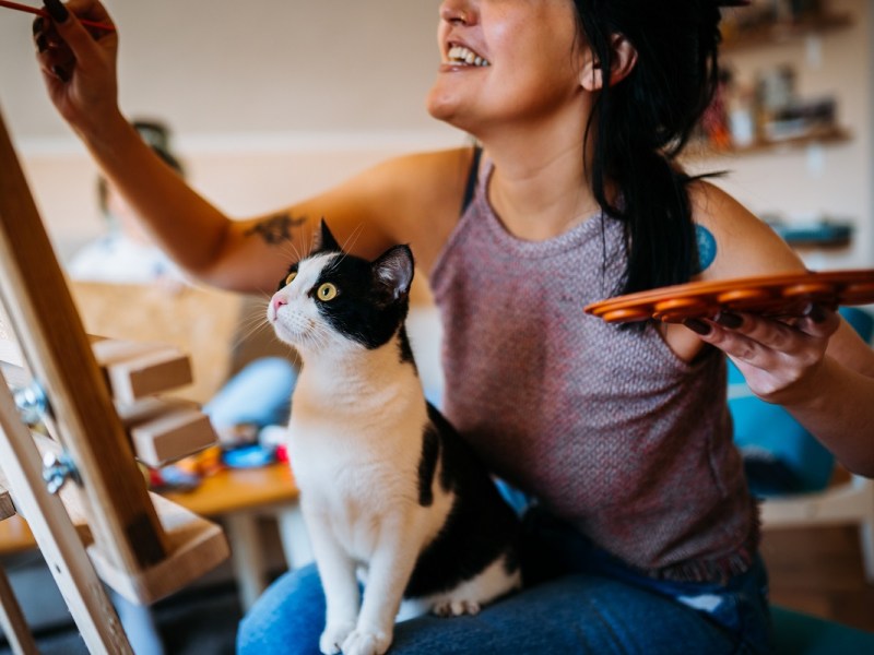 Hill’s Pet Nutrition