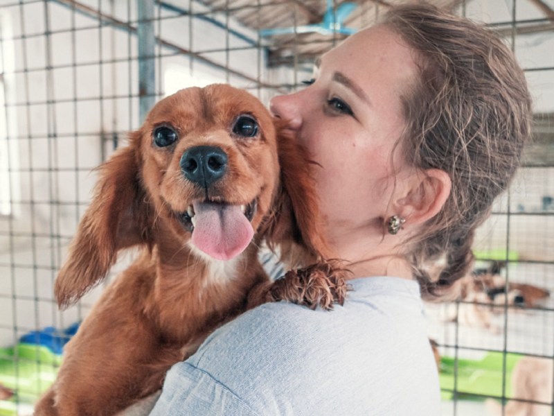 animal shelter