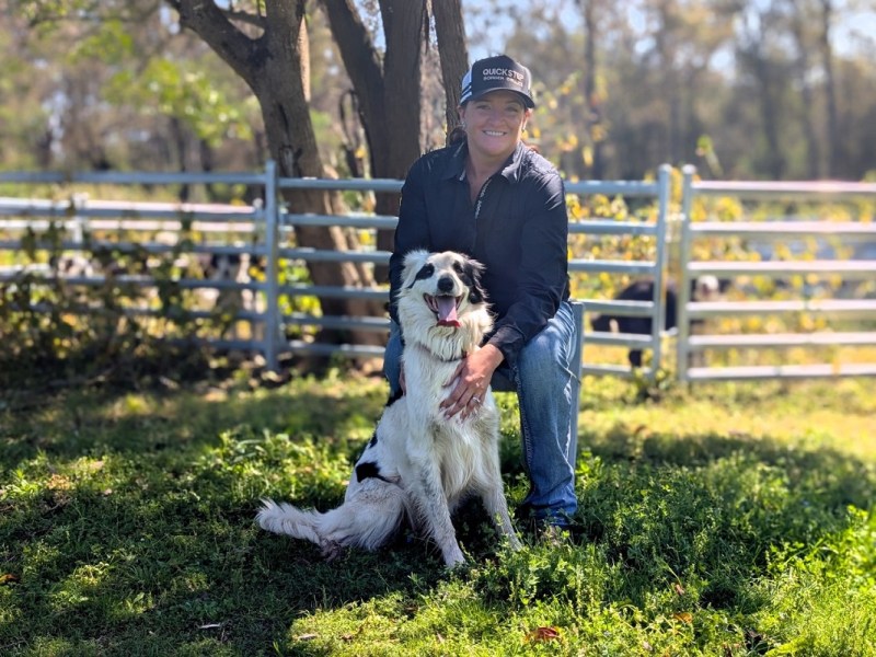 Trans-Tasman Sheepdog