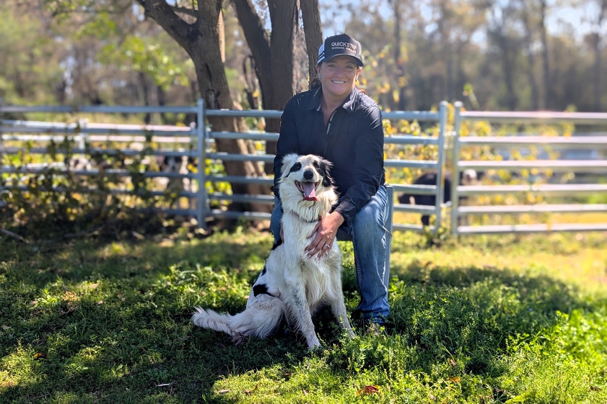 Trans-Tasman Sheepdog