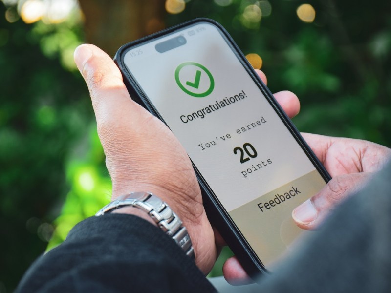 loyalty program