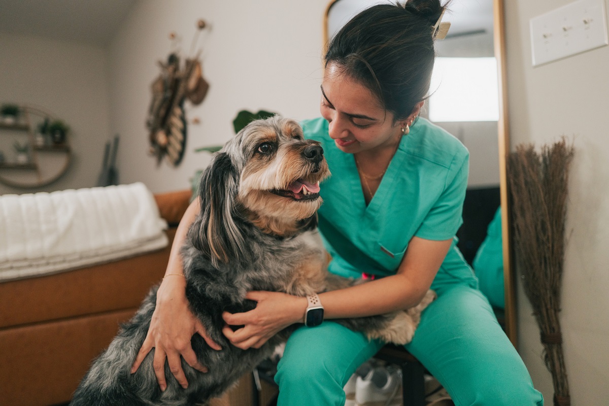 Vet