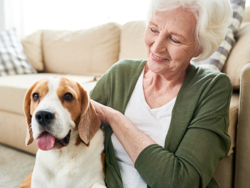 pets in aged care