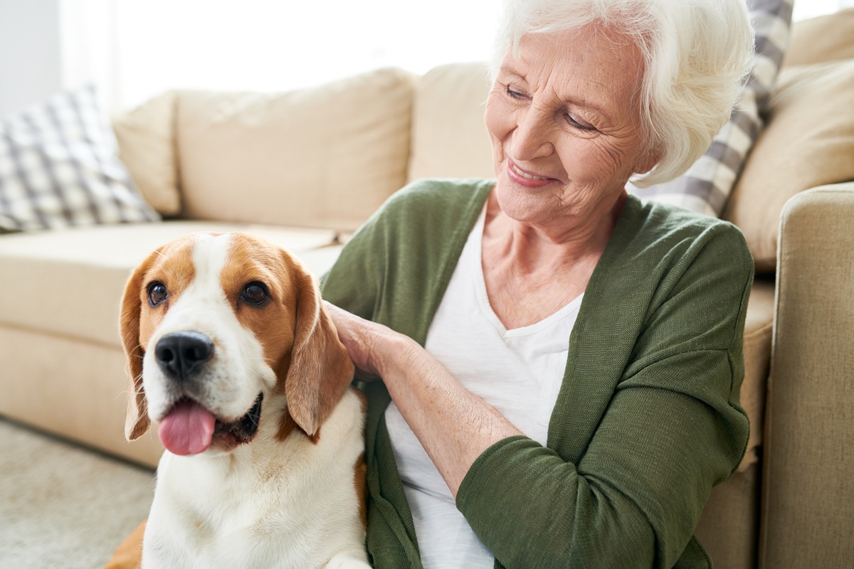 pets in aged care