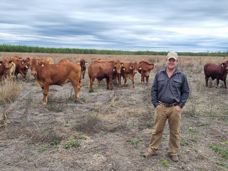 Queensland biosecurity