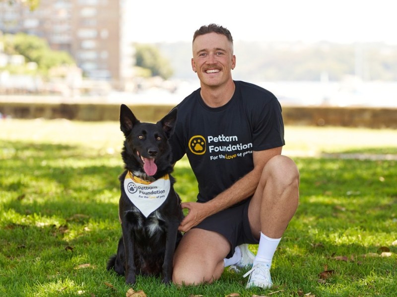 The Petbarn Foundation